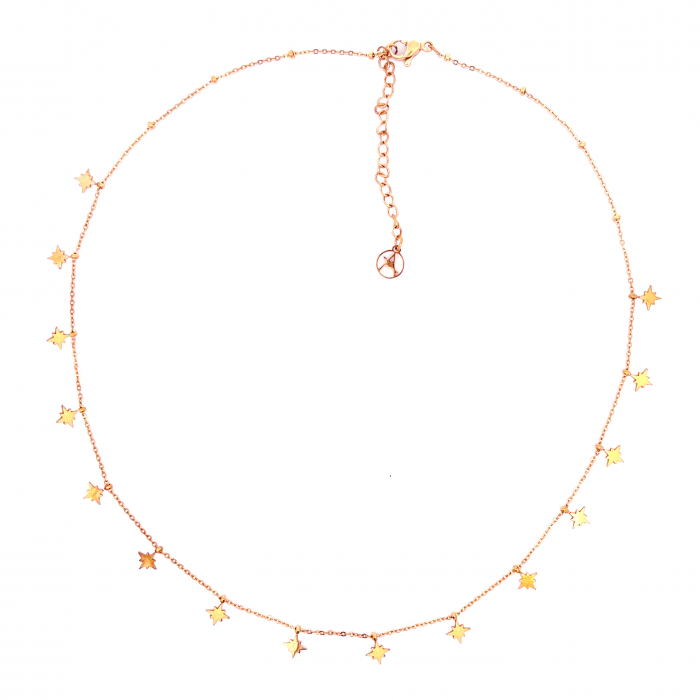 COLLANA CON ROSE DEI VENTI - FJ2072588A81