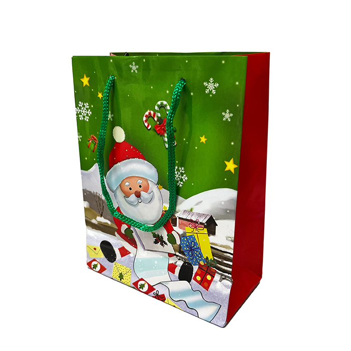 SACCHETTO REGALO PER NATALE 21.5x18 - 7820202211119