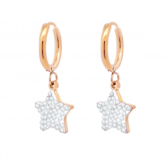 ORECCHINI CON STELLE PENDENTE - JN21621656C46